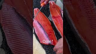 Must See Color Difference of Red vs Coho Salmon  #alaska #salmon #fishing