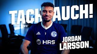 "So etwas habe ich vorher noch nie erlebt"  | Tach auch, Jordan Larsson | FC Schalke 04