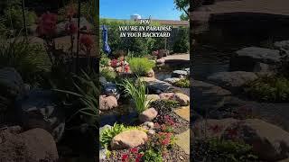 Backyard Paradise! #shorts