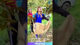 Playing Catch with DURIANS?  These Folks are BUILT DIFFERENT!  #durian #funny #harvest #skills