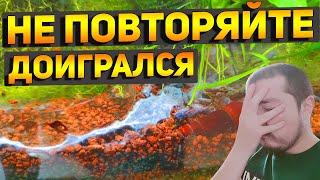 Такой ВОДОРОСЛИ в АКВАРИУМЕ у меня еще не было! Спасибо за советы и рекомендации!