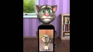 Koncert perdunov talking tom