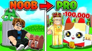 NOOB To PRO INSTANTLY With $100,000 ROBUX! (Roblox Pet Simulator X)