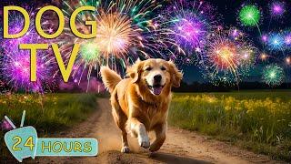 DOG TV: Video Happy New Year for Dogs - Anti Anxiety Music for Dogs to Calm from Fireworks and Bangs