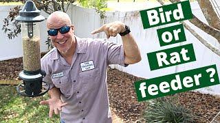 How bird feeders attract nuisance wildlife to your yard