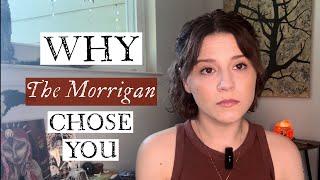 Working With The Morrigan: Why The Morrigan Chose You