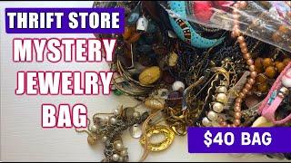 Opening a $40 THRIFTED MYSTERY Jewelry Bag! What's Inside?