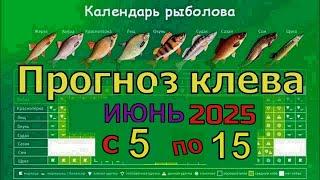 Прогноз клева рыбы на Эту неделю с 5 июня по 15 Июня 2025 Календарь рыбака на июнь 2025