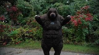 Giant Inflatable Boxing Bear Costume - Premium Chub Suit®