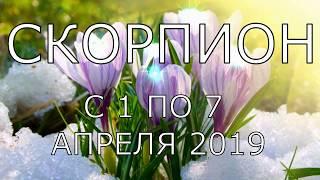 СКОРПИОН. ТАРО-ПРОГНОЗ НА НЕДЕЛЮ С 1 ПО 7 АПРЕЛЯ 2019