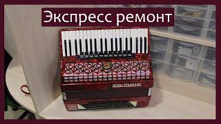 Трудовые будни / Ремонт Аккордеона "Royal Standard 4/4" / Экспресс ремонт