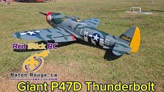 Giant P47D Thunderbolt at the Red Stick RC Club Fly In