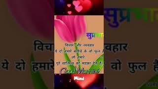 p k mast