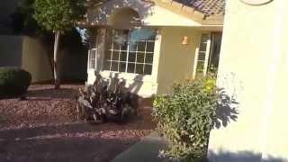 Houses for Rent in Phoenix Arizona 3BR/2BA by Phoenix Property Management