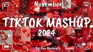 Tiktok Mashup November 2024 (Not Clean)