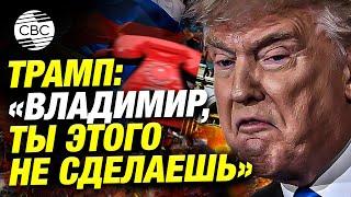 Трамп планировал предотвратить войну в Украине одним звонком