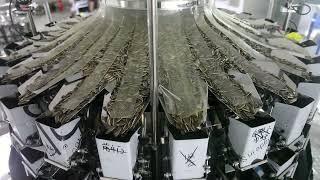 KENWEI high speed 24 heads multihead weigher with special timing hopper speed more than 200p/m