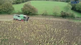 POGET | Montage rapide des plateaux QUICK à tournesol