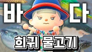 이번엔 바다다! 바다 희귀물고기 전부 다 잡기 프로젝트