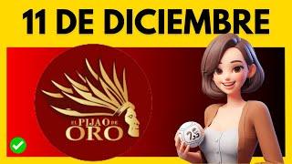 PIJAO DE ORO Del Lunes 11 de DICIEMBRE de 2023 