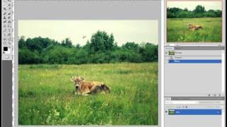 Заливка с учетом содержимого в Photoshop CS5