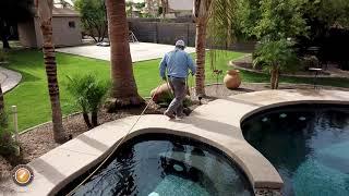 Maxx Force Pest Control