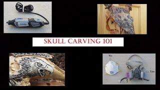 Real Animal Skull Carving 101: What you need to get started!