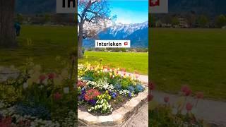 Interlaken, Switzerland is Paradise on Earth 