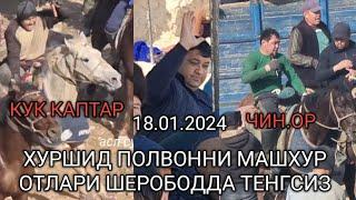 ХУРШИД ПОЛВОННИ ОТЛАРИ ШЕРОБОДДА ТЕНГСИЗ 18.1.2024