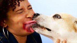 Germophobes Let Their Dogs Lick Their Lips For The First Time