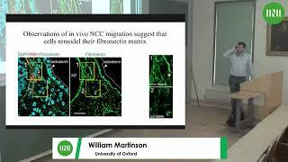 Dr. William Martinson | Multiscale modelling of collective behaviour: insights, challenges, and...