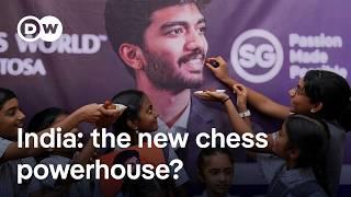 India celebrates youngest ever chess world champion Gukesh Dommaraju | DW News