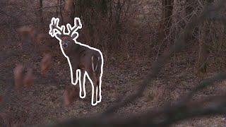 Ol Freak Nasty | A Whitetail Hunters Worst Nightmare | Double Drop Tine Buck