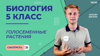 Голосеменные растения. Видеоурок 32. Биология 5 класс