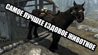 Skyrim моды - топ 5 ездовых животных для вашего героя