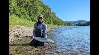 NORWAY SALMON FISHING, RIVER GAULA, JUNE 2024