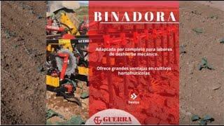 Binadora