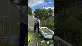 Твой Батя в 7 утра