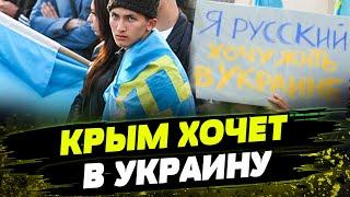 КРЫМ возвращается ДОМОЙ! 10 лет оккупации Крыма. Сопротивление продолжается!