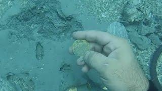 Florida family of explorers discovers treasure from 1715 shipwreck