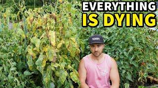 My Garden Is DYING And I Want To Give Up