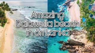 Amazing dalawella beach in sri lanka