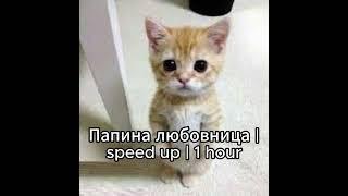 Монеточка - Папина любовница (speed up) 1 hour