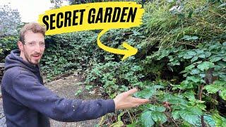 Single Mother STUNNED as We Discover HIDDEN Garden Behind Her OVERGROWN Brambles!