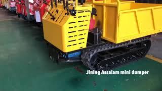 Stand on mini tracked carrier 0.8 ton 1 ton crawler dumper for sale