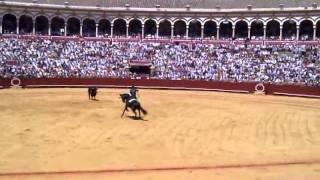 Corrida at Seville on the 8th of May 2011 - Horse dance