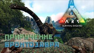 Бронтозавр в Арк|ARK Survival Evolved|Приручение Бронтозавра