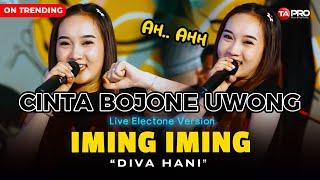 DIVA HANI - CINTA BOJONE UWONG HEHE HAHA  - IMING IMING (LIVE DANGDUT ELECTONE LEMBAYUNG MUSIC)