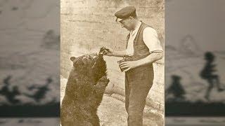 The bear who inspired Winnie-the-Pooh