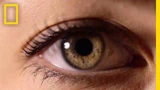 Eyes: The Windows to Your Health | National Geographic